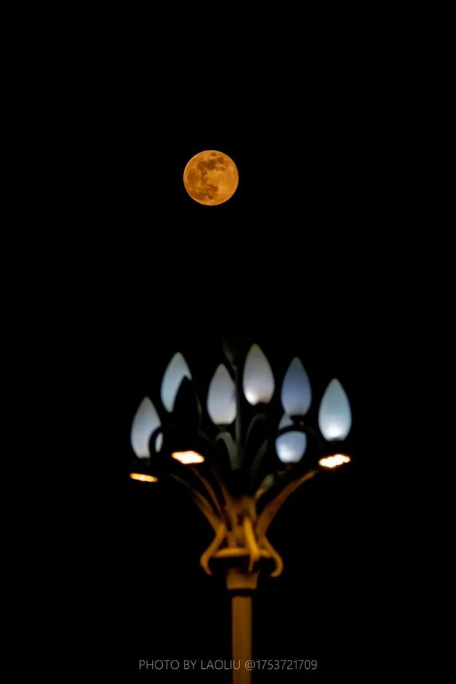 6年首个“超级月亮”现身日照天幕！新葡京